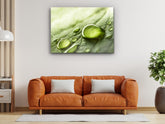 ・"Rainy Day Nature - Water Droplet "・Glass Wall Art - Wonders Of Wall